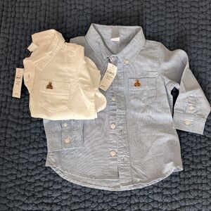 Two BabyGAP Classic White and Blue Button-Up Shirts, NWT